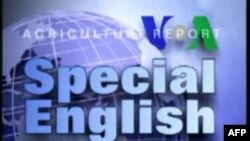 Special English 1430