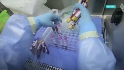 «Настоящее время. Америка» – 1 апреля 2020