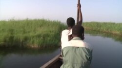 Conférence internationale pour la sauvegarde du lac Tchad