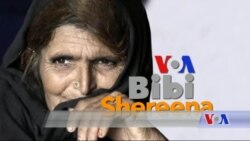 بي بي شیرینه – وي او اې ډيوه په ټیلې ویژن