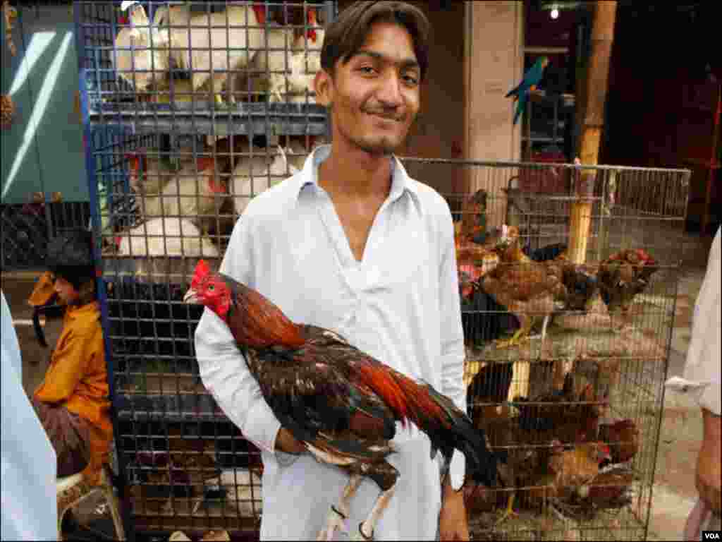 ایک نوجوان اپنا پالتو مرغا فروخت کرنے اس مارکیٹ میں موجود ہے