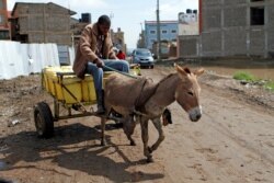 FIEL - A man rides his donkey cart with jerrycans of fresh water in Athi River, on the outskirts of Nairobi, Kenya, April 19, 2018.