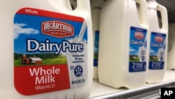 2019年11月12日佛罗里达州瑟夫赛德一家杂货迪恩食品品牌的牛奶。迪恩公司最近申请破产。