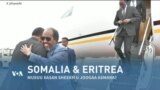 Qubanaha VOA