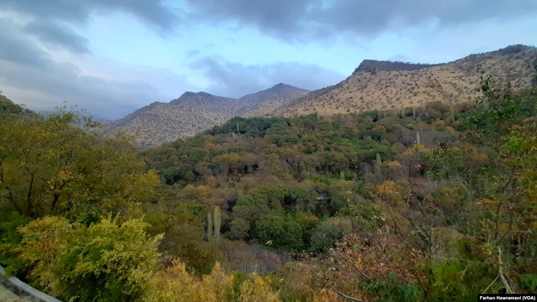 هەورامان