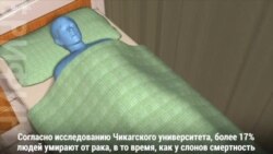 «Зомби-ген» защищает слонов от рака