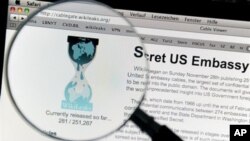 Nova strategija internetske stranice WikiLeaks 