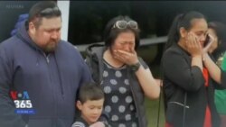 اخبار شامگاهی