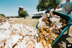 The Clean Vibes team works to move waste from landfills into compost piles at Bonnaroo. (Dusana Risovic/Bonaroo vía AP)