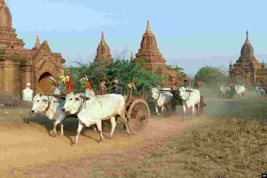 Local residents drive bullock carts among old temples in Bagan, Myanmar.