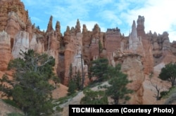Salah satu daya tarik utama di Taman Nasional Bryce Canyon di Utah selatan adalah ribuan tudung warna merah, pilar berbentuk aneh yang terbuat dari batu yang berasal dari jutaan tahun yang lalu. (Foto: Courtesy)