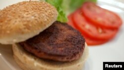 Daging burger pertama di dunia yang dikembangkan di laboratorium, setelah dimasak pada acara paluncurannya di London (5/8). (Reuters/David Parry)