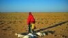 World Bank Backs Livestock Insurance to Somali Farmers