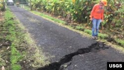 A Geologist inspects a crack that widened considerably in the past day on Old Kalapana Road. In other areas, new cracks have appeared along sections of Highway 130 in the past day, some with fume escaping, May 10, 2018.