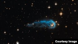 The "cosmic caterpillar," called IRAS 20324+4057, is a protostar in a very early evolutionary stage.