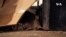 New York Rats USAGM