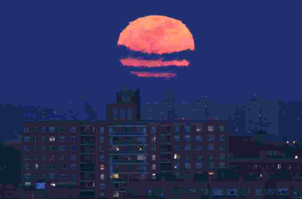Bulan terlihat besar saat terbit di wilayah Bronx, New York 19 Maret 2011. "Super Moon" ini terjadi akibat bulan hanya berjarak 356,575 km dari bumi, jarak terdekat di tahun 2011 (Reuters).