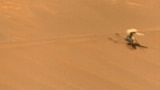 NASA’s Ingenuity Mars Helicopter stands near a sand hill in an image taken by the Perseverance rover on Feb. 24, 2024, about five weeks after the aircraft's crash. (Image credit: Credit: NASA/JPL-Caltech/LANL/CNES/CNRS)