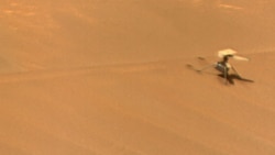 NASA’s Ingenuity Mars Helicopter stands near a sand hill in an image taken by the Perseverance rover on Feb. 24, 2024, about five weeks after the aircraft's crash. (Image credit: Credit: NASA/JPL-Caltech/LANL/CNES/CNRS)