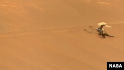 NASA’s Ingenuity Mars Helicopter stands near a sand hill in an image taken by the Perseverance rover on Feb. 24, 2024, about five weeks after the aircraft's crash. (Image credit: Credit: NASA/JPL-Caltech/LANL/CNES/CNRS)