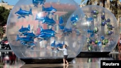 A boy looks at fish-shaped balloons installed in a water fountain to mark April Fools' Day, called "Poisson d'Avril" in France, in the centre of Nice, April 1, 2015. 