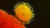 Novel Coronavirus Death Toll Reaches 18
