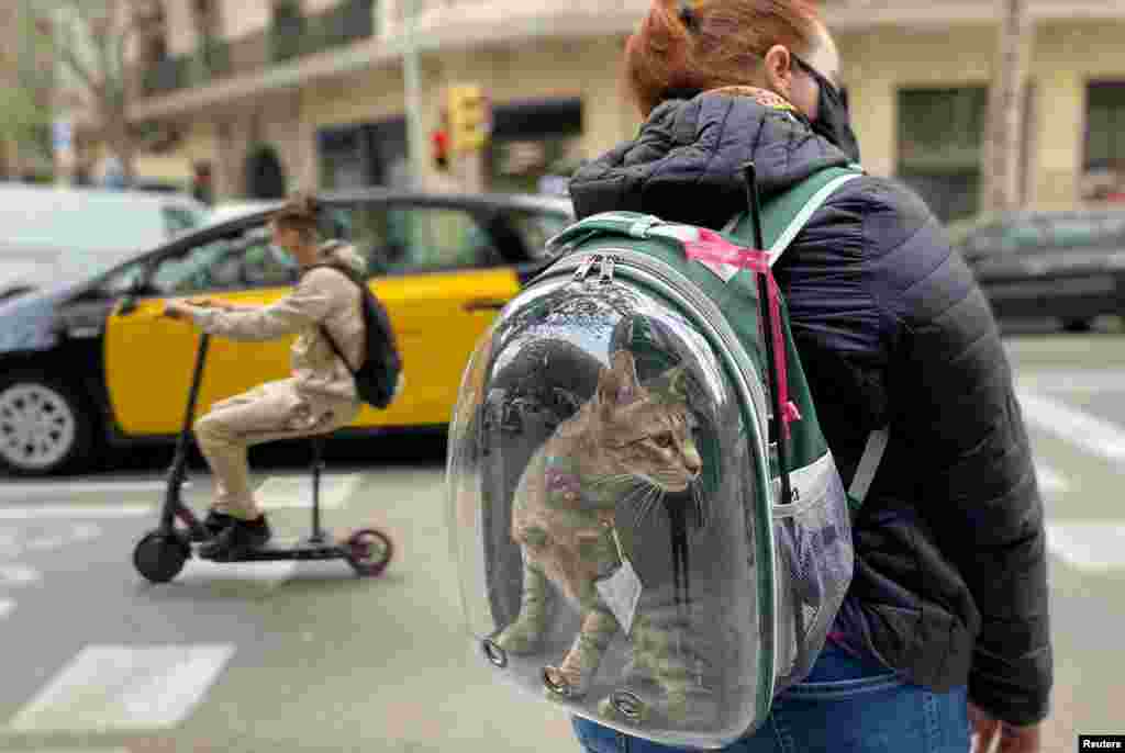 A woman wearing a protective face mask carries her pet cat in a backpack as they wait to cross a street, amid the coronavirus outbreak in Barcelona, Spain.