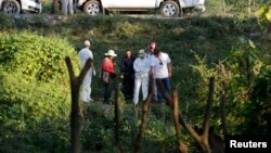 Members of a forensic team search for human remains, near where a mass grave was discovered in a trash dump, outside the mountain town of Cocula, near Iguala in the southwestern state of Guerrero, October 28, 2014.