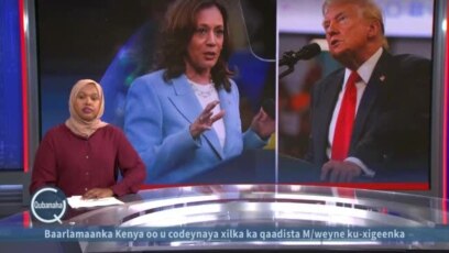 Qurbo-joogta Afrikaanka iyo doorashada USA