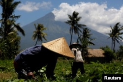 Mount Agung, a volcano for which the alert status was raised to its highest level last week, is seen as farmers tend their crops near Amed, on the island of Bali, Indonesia, Sept. 29, 2017.