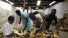 Le Zimbabwe ordonne l'évacuation des fermes occupées illégalement 