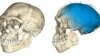 Quiz - Scientists: Early Humans Were Not as Simple as One Would Think