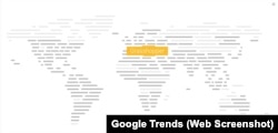 Google Trends World View
