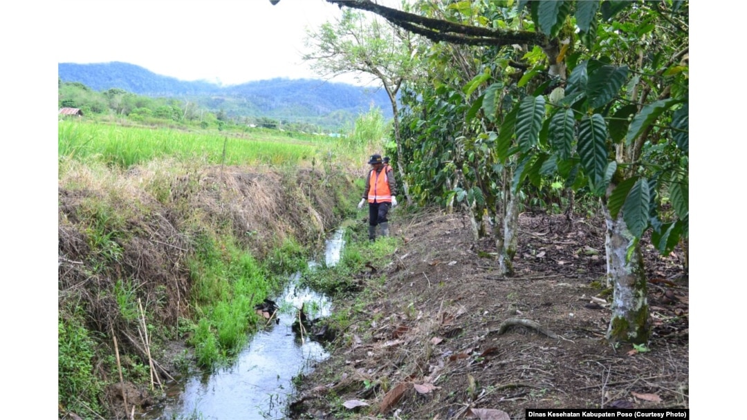 Saluran air di sekitar persawahan penduduk yang turut menjadi lokasi fokus keong Oncomelania di desa Lengkeka Kecamatan Lore Barat, Kabupaten Poso, Sulawesi Tengah (Courtesy: Dinas Kesehatan Kabupaten Poso)