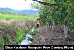 Saluran air di sekitar persawahan penduduk yang turut menjadi lokasi fokus keong Oncomelania di desa Lengkeka Kecamatan Lore Barat, Kabupaten Poso, Sulawesi Tengah (Courtesy: Dinas Kesehatan Kabupaten Poso)