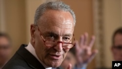 參議院少數黨領袖舒默。（Senate Minority Leader Chuck Schumer, D-NY）