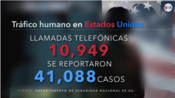 Número de llamadas telefónicas para reportar casos de tráfico humano en EE.UU.