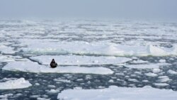 Environmental activist and campaigner Mya-Rose Craig, 18, holds a cardboard sign reading "youth strike for climate" as she sits on the ice floe in the middle of the Arctic Ocean, hundreds of miles above the Arctic Circle, September 20, 2020.