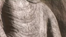 Swat Ghandahar Report