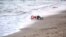 Drowned Migrant Toddler Photo Triggers European Outrage