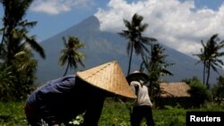 Para petani di Amed sedang berladang dengan latar Gunung Agung. Status Gunung Agung sudah dinaikkan menjadi Awas atau level tertinggi menyusul peningkatan aktivitas vulkanik, 29 September 2017.