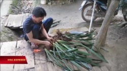 Tháng Tư qua Trường Sơn