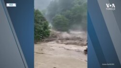 Arhavi'de Sel Nedeniyle Bina Yıkıldı