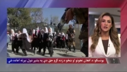 کرزی:«زده کړه سیاسي موضوع نه ده»
