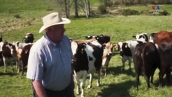 Փրկություն` հողի միջոցով