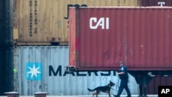 An officer with a dog inspects a container along the Delaware River in Philadelphia, June 18, 2019. 