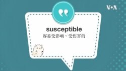 学个词 ---susceptible