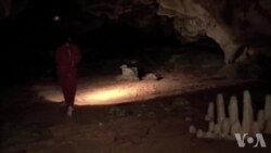 法国展出史前洞穴复制品