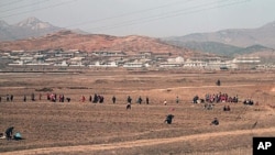 Военно-морская академия в Аннаполисе