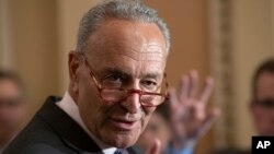 Fotografía de archivo del 30 de julio de 2019 del líder de la minoría del Senado, Chuck Schumer, respondiendo preguntas de la prensa en el Capitolio, Washington. (AP Foto/J. Scott Applewhite, Archivo)